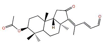 Rhabdastrellin K